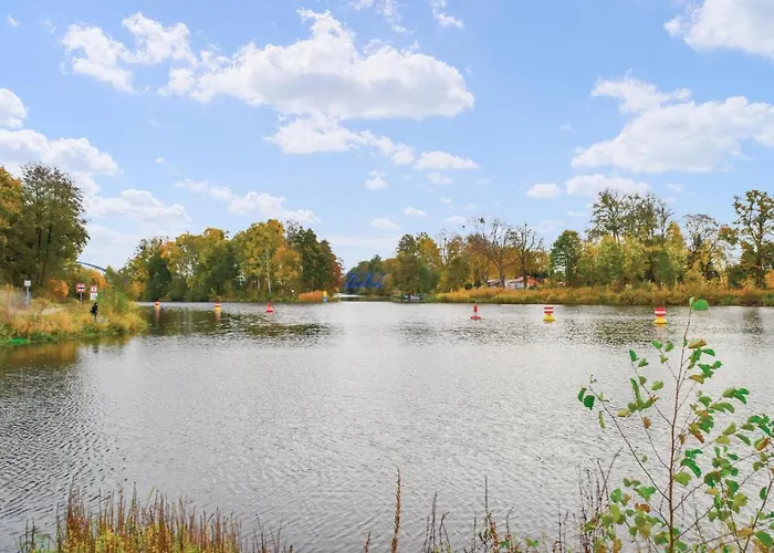 Lovely In With Wifi *